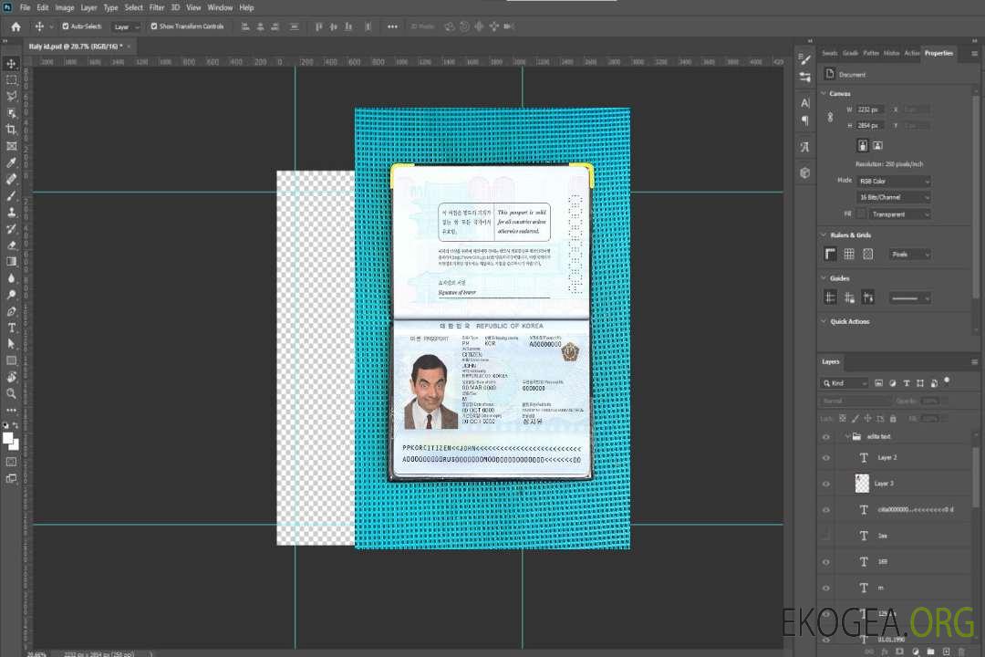 Photo d'identité de la Corée du Sud template